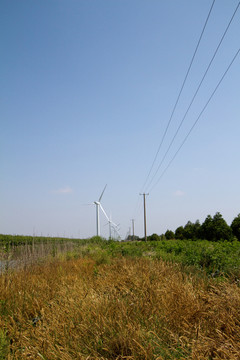 崇明東灘濕地公園