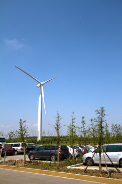 崇明東灘濕地公園