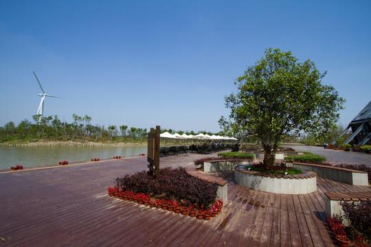 崇明東灘濕地公園