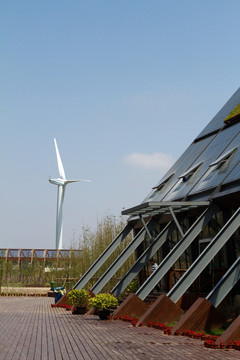 崇明東灘濕地公園