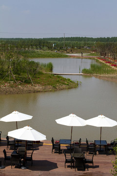 崇明東灘濕地公園 藍(lán)天 戶外