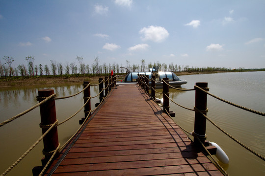 崇明東灘濕地公園