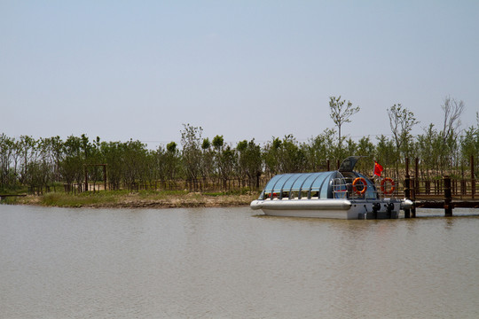 崇明東灘濕地公園
