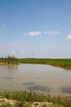 崇明東灘濕地公園 藍(lán)天