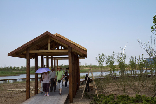 崇明東灘濕地公園 藍(lán)天 道路
