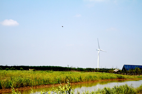 崇明東灘濕地公園