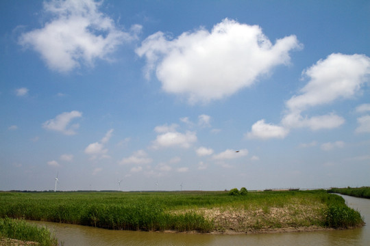 崇明東灘濕地公園 藍天 河道
