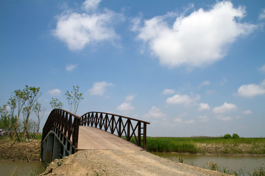 崇明東灘濕地公園 藍(lán)天 道路