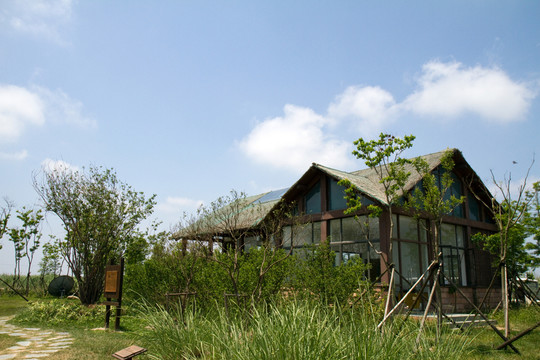 崇明東灘濕地公園 藍(lán)天 道路