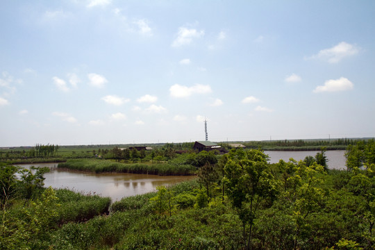崇明東灘濕地公園 藍天 道路