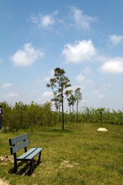 崇明東灘濕地公園 藍天 山坡
