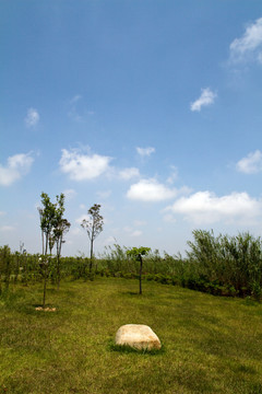 崇明東灘濕地公園 藍天 山坡