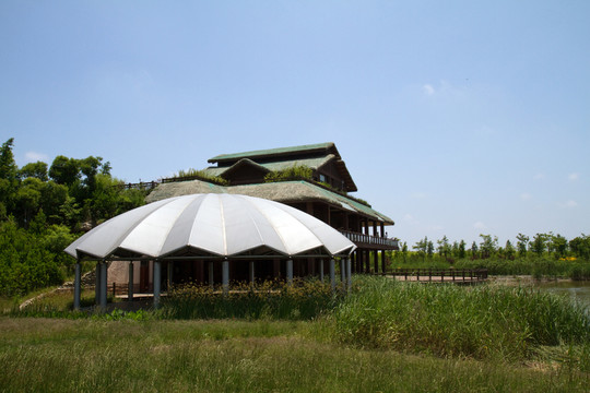 崇明東灘濕地公園