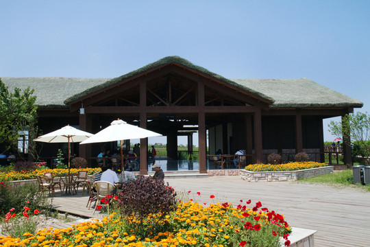 崇明東灘濕地公園