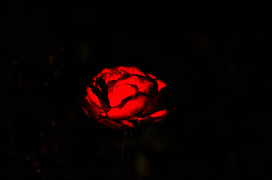 火紅