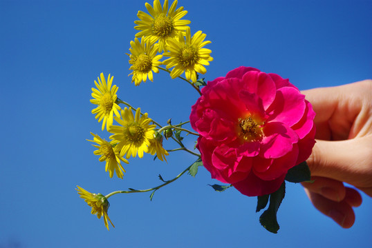 鮮花
