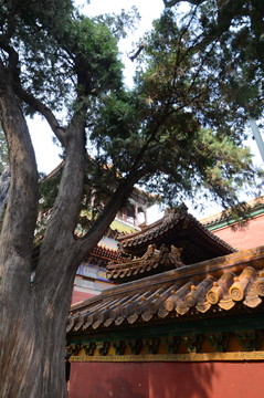 建筑