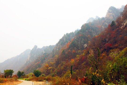 伏牛山老界嶺景區(qū)風(fēng)光