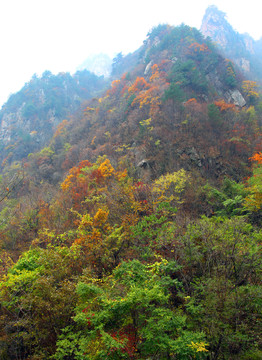 伏牛山老界嶺景區(qū)風(fēng)光