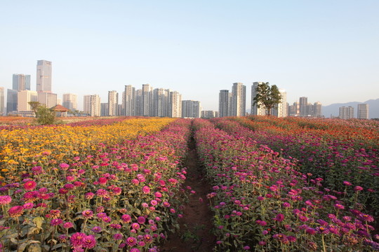 南江濱公園