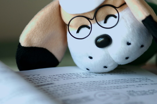 小熊看書