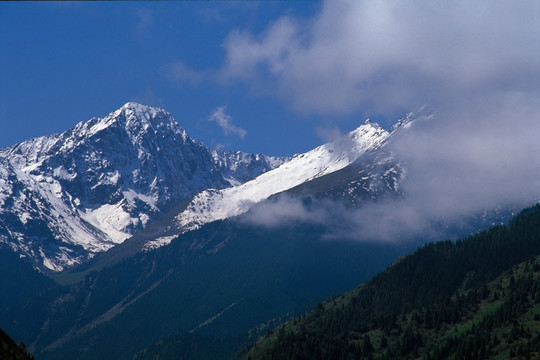 天山風(fēng)光 冰山冰川 雪山高峰