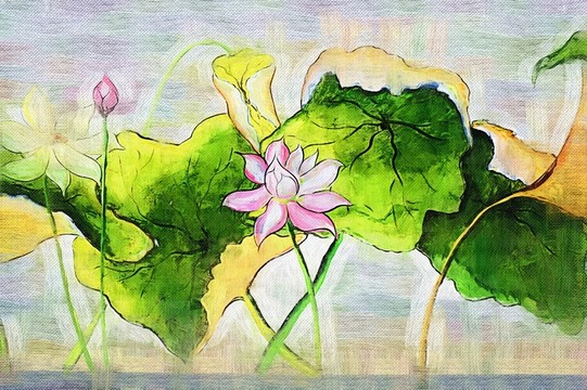 荷花 抽象畫