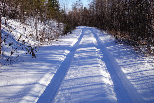 森林雪路