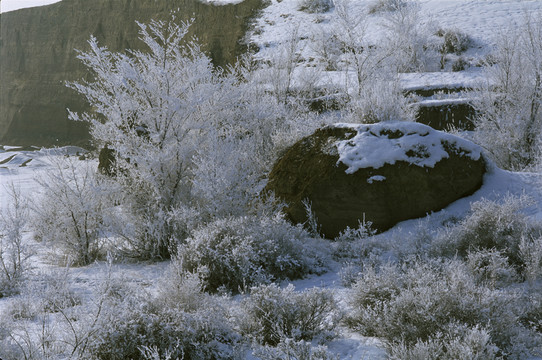 霧凇 冬季雪原 冰天雪地