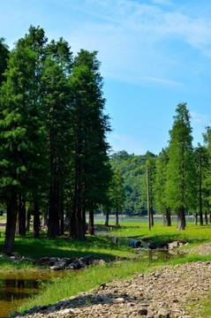石井風(fēng)光