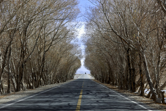 中巴公路