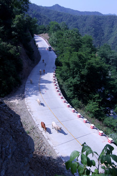 山路