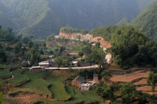農(nóng)田