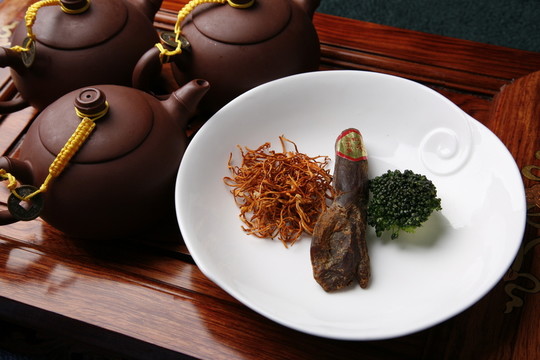 高麗參燉蛹蟲(chóng)草