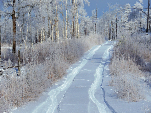 雪路