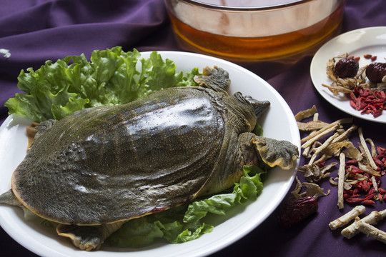 國藥煲甲魚