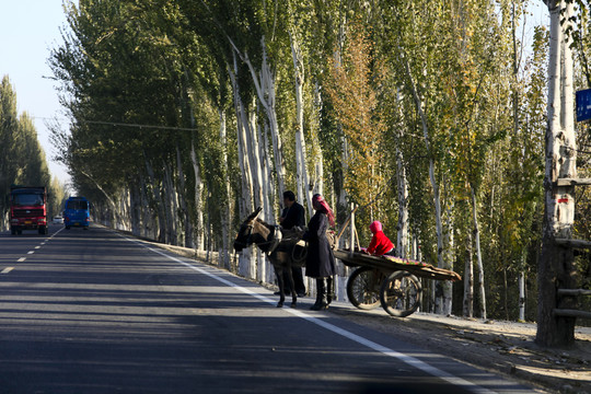 毛驢車