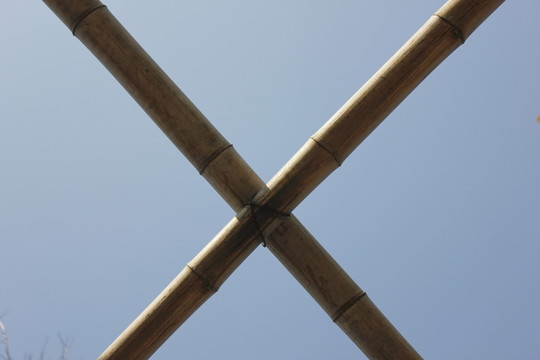 竹竿
