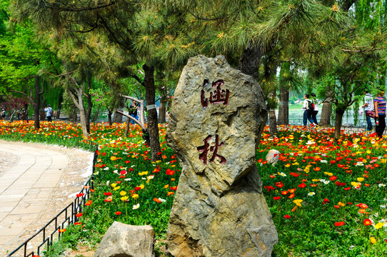 圓明園涵秋石