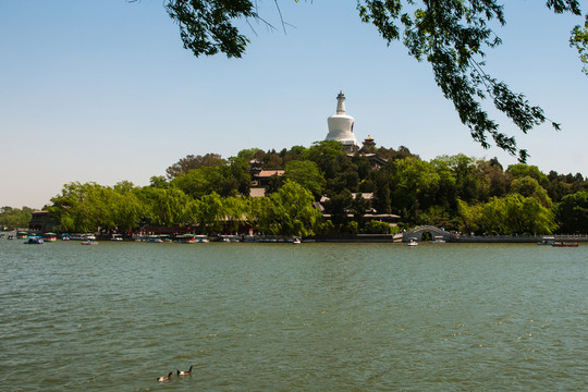 北海公園