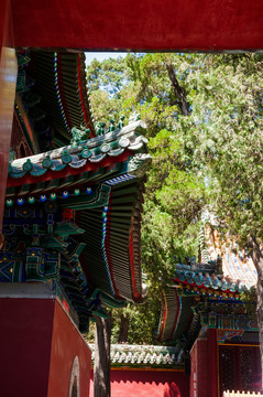 北海公園