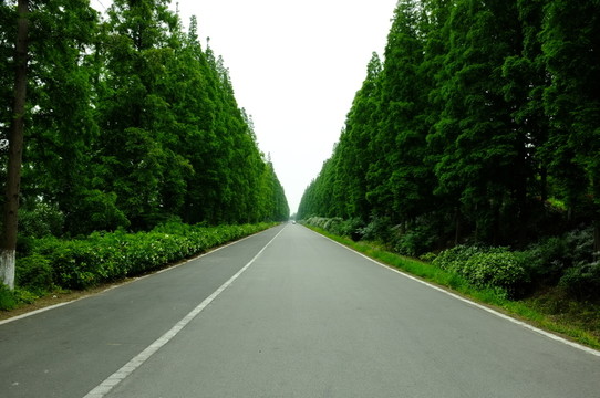 無名公路
