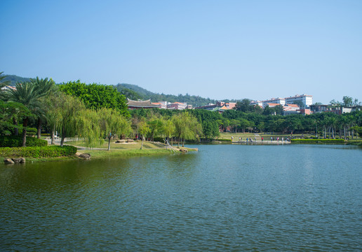 廈大芙蓉湖