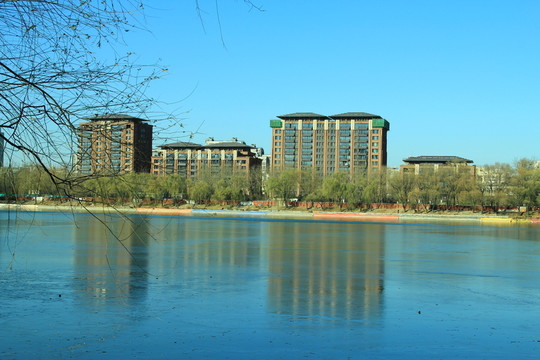 湖水 湖邊 水岸 水面 湖面