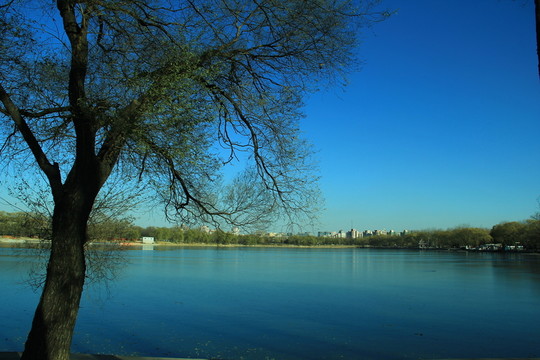 湖水   湖邊  水岸  水面
