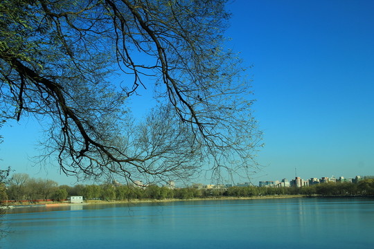 湖水   湖邊  水岸  水面