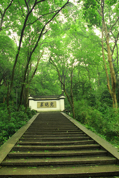 虎跑寺 虎跑泉 階梯 杭州