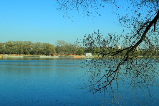 湖水   湖邊  水岸  水面