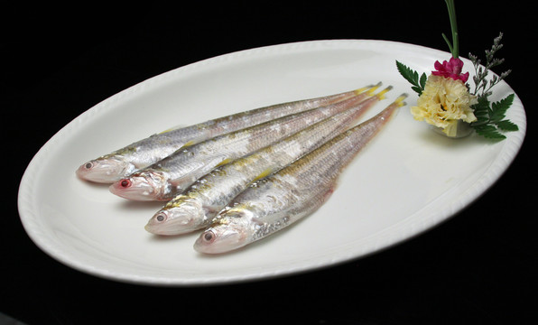 刀魚(yú)