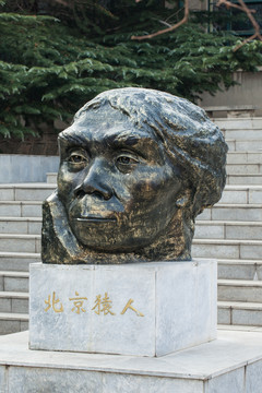 周口店遺址博物館